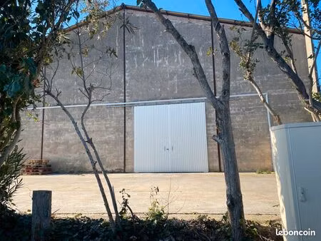 hangar de stockage - 460m2 - 8m de hauteur - 5 min de lunel - 25 minutes de nimes et montp