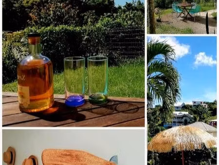 t2 jardin clim trois ilets