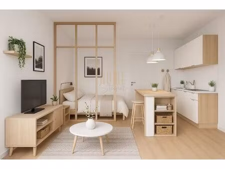 vente appartement 1 pièce 20 m² schiltigheim (67300)