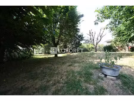 terrain arbore a vendre a parisot