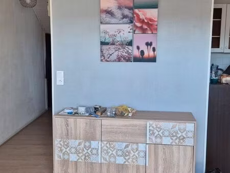 chaleureux appartement fonctionnel