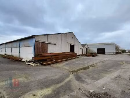 opslagruimte van 4.000 m² te huur in zwevezele