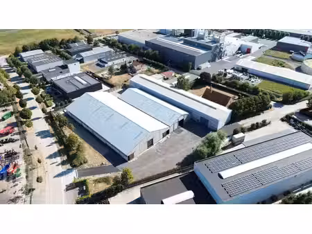 opslagruimte van maximaal 4.000 m² te huur in zwevezele