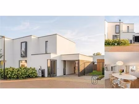 maison à vendre avec terrasse et jardin   waregem (rbv23983)