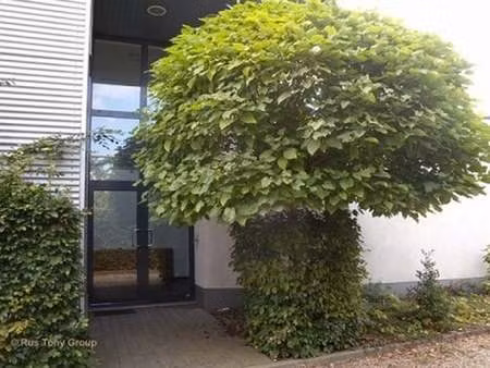 bien professionnel à louer à opglabbeek € 2.850 (lksvb) - rus tony real estate | zimmo