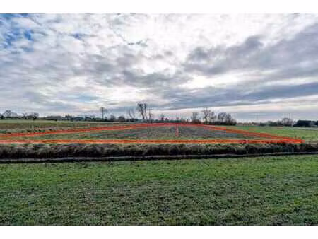 lot 10: terrain agricole