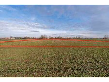 lot 3: terrain agricole