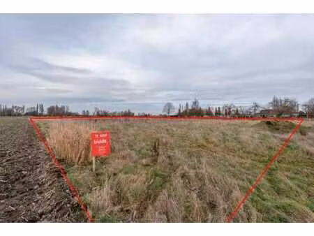 lot 4: terrain agricole