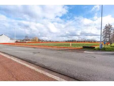 lot 11 : terrain agricole