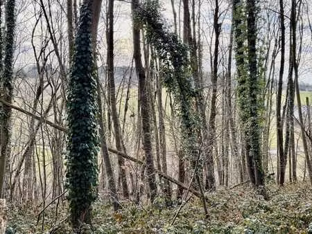 belle vue sur la vallée et au grand calme