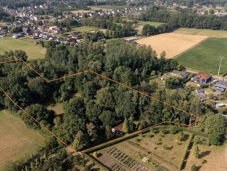 maison à vendre à betekom € 647.500 (lksvk) - century 21 future home tremelo | zimmo