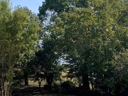 belle parcelle de 672 m2