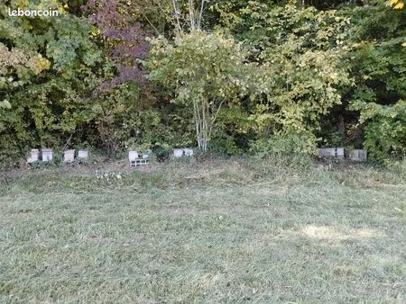 terrain gratuit pour rucher