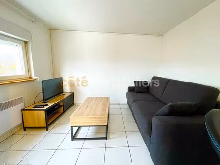 studio 1 pièce 20 m²