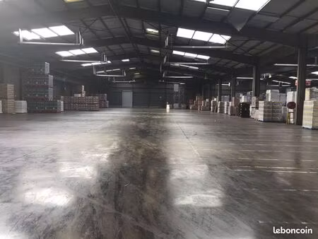 cellule entrepôt 10 000m²