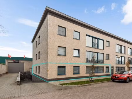 appartement à louer à rumst € 895 (lkt6v) - lexximmo reet | zimmo