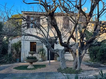 a l'ombre des figuiers