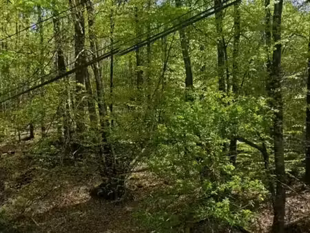 vente terrain 4 600 m²