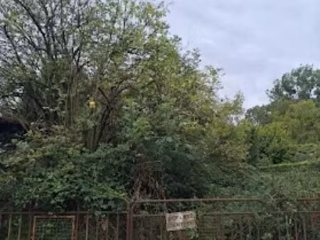 vente terrain à embry (62990)  46 000 €