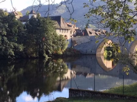 vente terrain 1300 m² à entraygues-sur-truyère (12140)  19 500 €