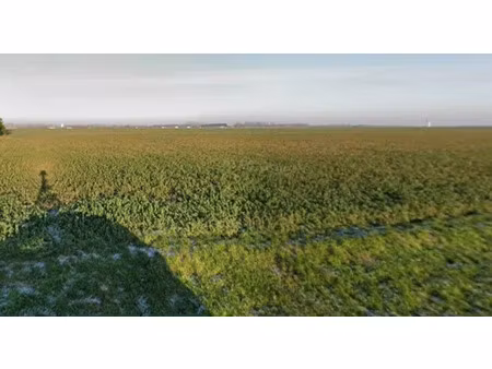 vente terrain 494 m² à lieu-saint-amand (59111)  41 990 €