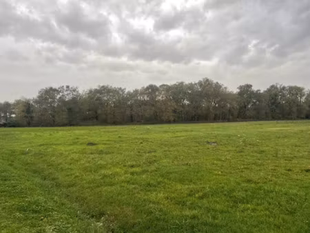 vente terrain 1300 m² à teuillac (33710)  43 000 €