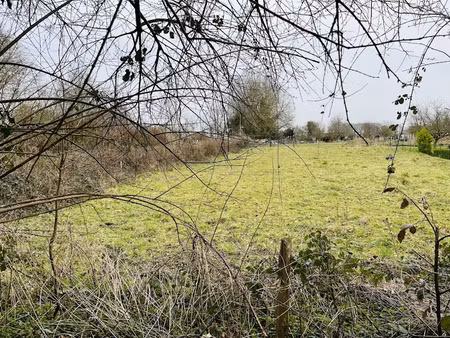 vente terrain 1350 m² à saint-vaast-dieppedalle (76450)  48 000 €