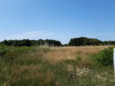 vente terrain 750 m² à cinq-mars-la-pile (37130)  54 500 €