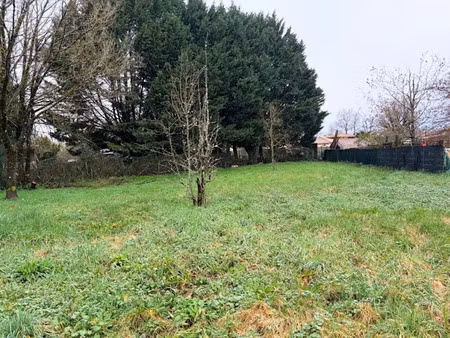 vente terrain 644 m² à moulis-en-médoc (33480)  70 000 €