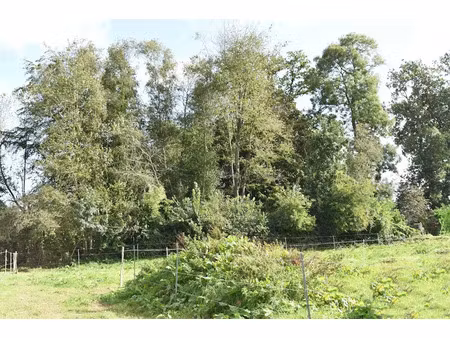 vente terrain 1000 m² à prétot-vicquemare (76560)  51 000 €