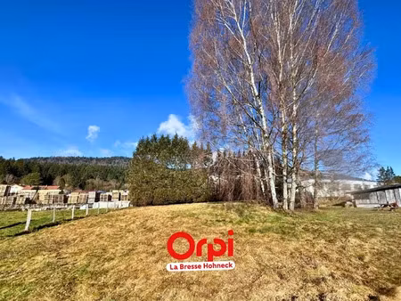vente terrain à batir 1238 m² à saint-amé (88120)  52 000 €