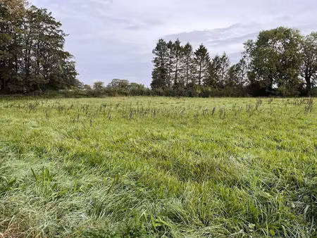 vente terrain 1100 m² à doudeville (76560)  69 000 €