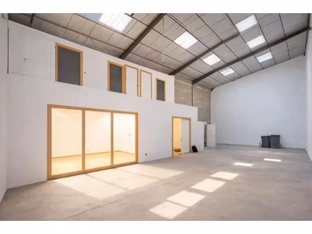 local professionnel - 230m ²