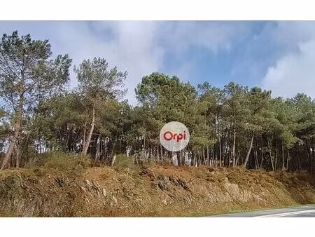 terrain pluherlin m² t- à vendre  40 500 €