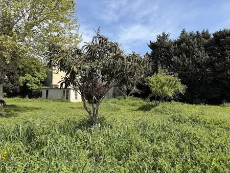 vente terrain 496 m² à caderousse (84860)  95 000 €