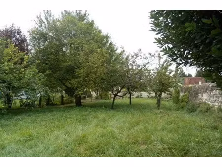 vente terrain 420 m² à druye (37190)  81 000 €