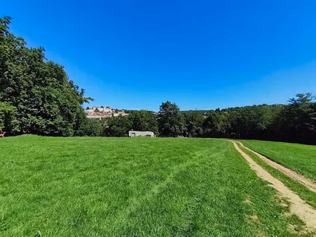 vente terrain 9780 m² à saint-lizier (09190)  83 000 €