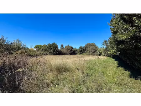 vente terrain 1950 m² à caderousse (84860)  234 000 €
