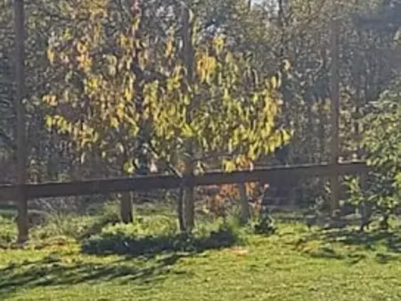 vente terrain 860 m² à louchats (33125)  95 000 €