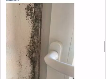 recherche location maison