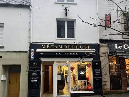 vente immeuble à ploërmel (56800) : à vendre / 240m² ploërmel