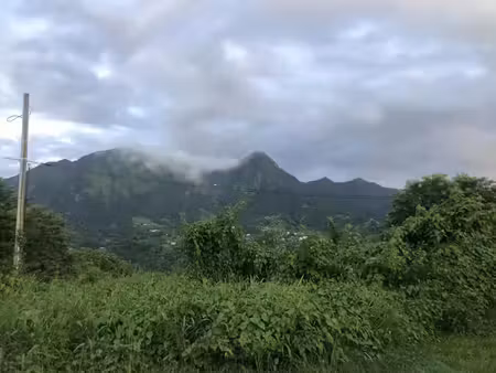vente terrain 19800 m² à le morne vert (97226)  1 650 000 €