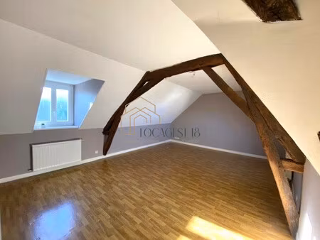 mehun sur yevre - bel appartement avec charme