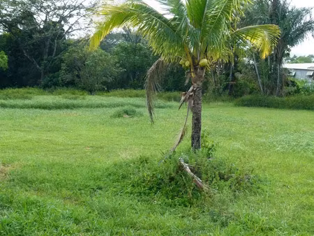 très belle parcelle bord de route de 2 7 hectares constructible dédiée sur le plu  à des a