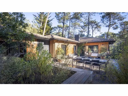 l'herbe : un refuge confidentiel entre forêt et océan