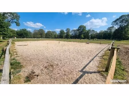 location terrain pour chevaux 3 5h - guipel - eau  electricité  hangar  parking  carrière 