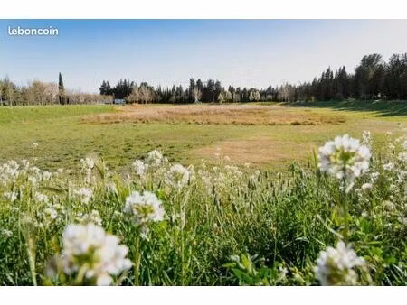 recherche champs ou petit local