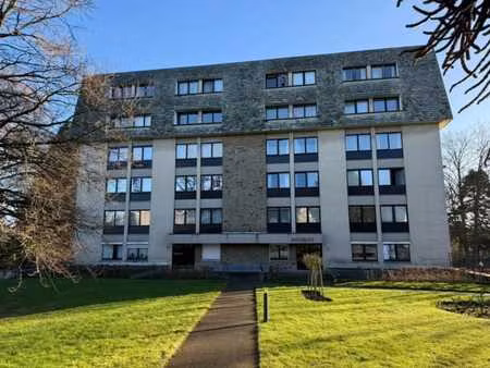 option - option - option