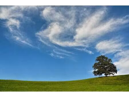 vente terrain à la mézière (35520) : à vendre / la mézière