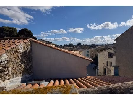 maison de village avec habitation indépendante  patio et terrasse